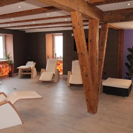 Wellnesshotel & Restaurant Hexenschopf Hotel Loeffingen