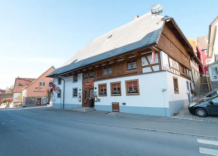 赫森绍普夫疗养酒店&餐厅 3* Löffingen